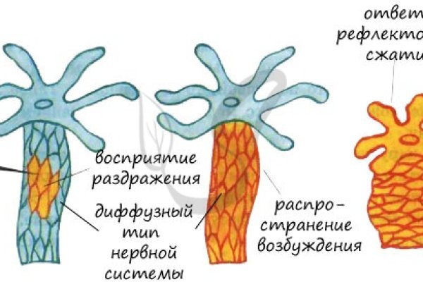 Ссылка на кракен в тор