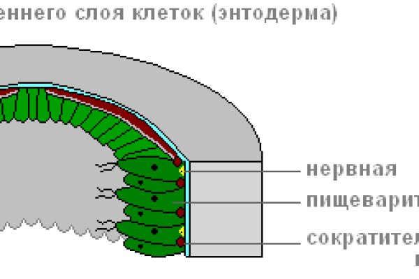 Кракен наркоторговец